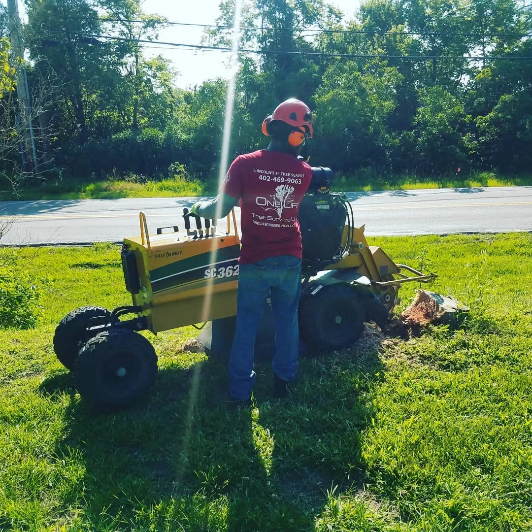 One Life Tree Service arborist in Lincoln, Nebraska — 3