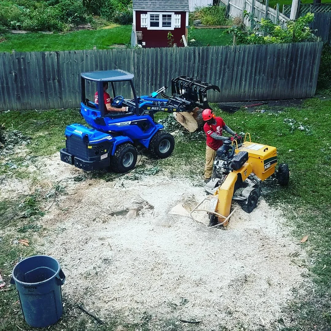 Insect & Disease Treatment by One Life Tree Service in Lincoln, NE